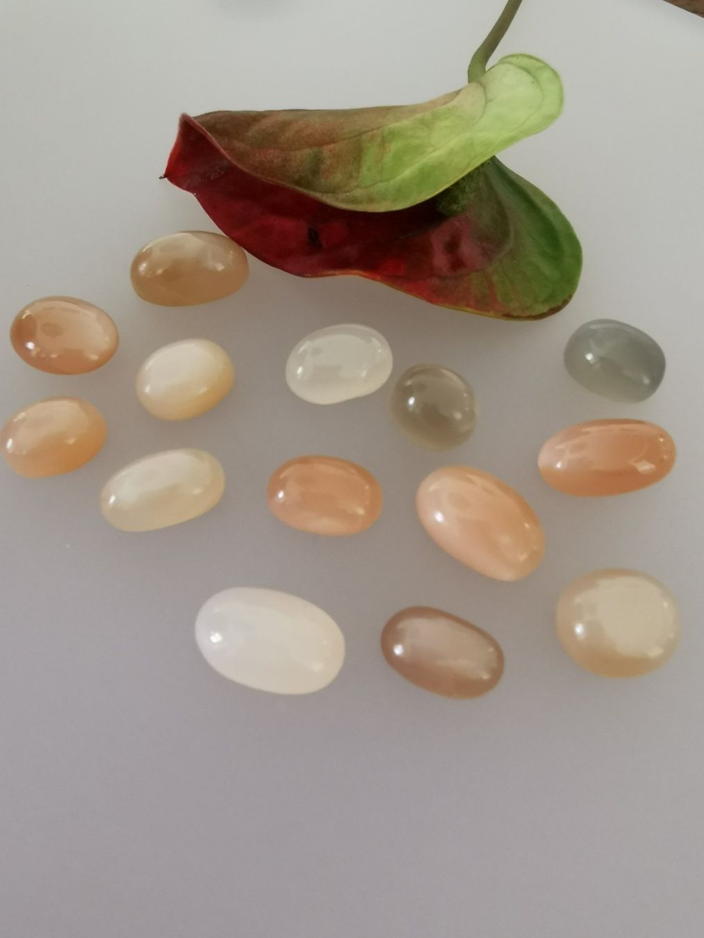 Pierres précieuses: 14 Stk. echte, unbehandelte, Mondstein Cabochons – Neuf avec emballage d'origine à Dierikon par Buntspecht-10 9