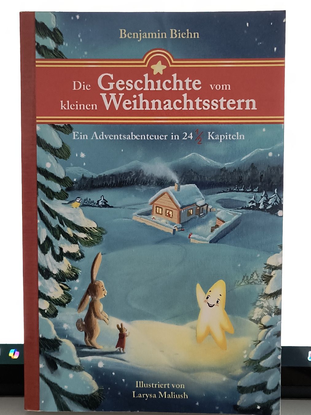 Libri: Weihnachtsgeschichte: Der kleine Weihnachtsstern – Usato da Schöfflisdorf venduto da KKB-Team1