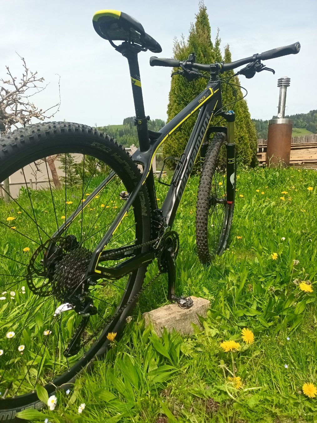 Bergamont Vélos: BERGAMONT Revox 9.4 Carbon – D'occasion à Wald AR par Elan16 2
