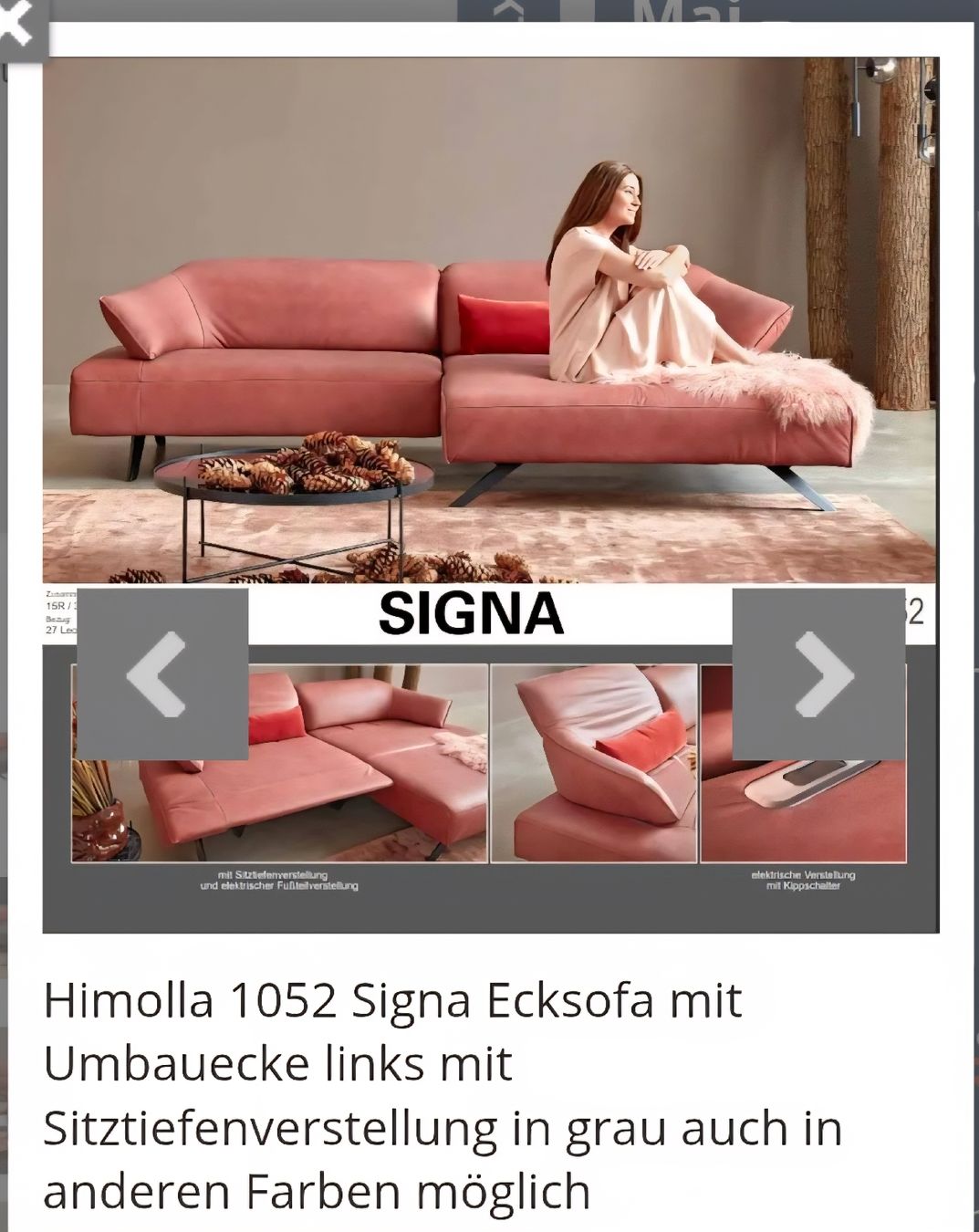 Himolla Divani: HIMOLLA Signa 1052 LEDERSOFA grau – Usato da Bressaucourt venduto da Fridolin444 1