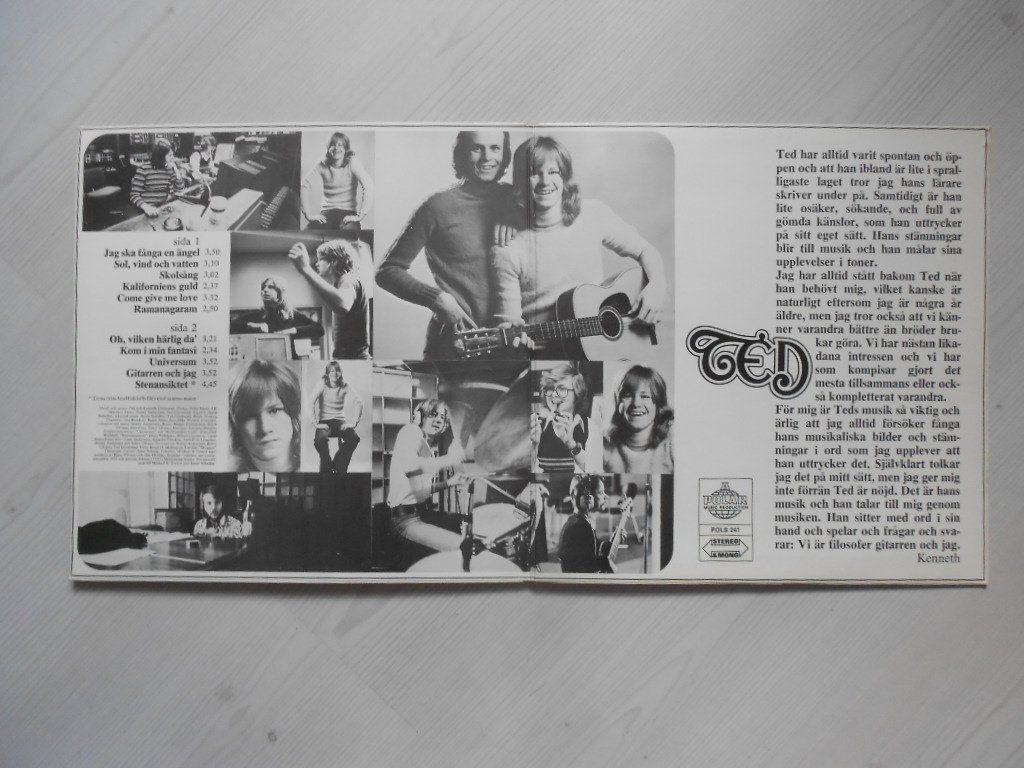 Dischi in vinile: TED GARDESTAD  -  RED – Usato da Bex venduto da Giorgiob 2