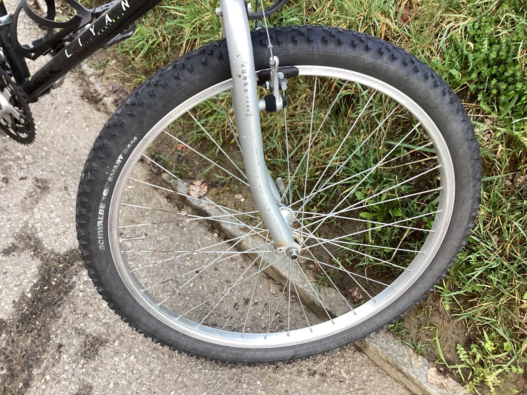 Vélos: Liyang Mountainbike – Défectueux à Kehrsatz par sodiesunddas 3