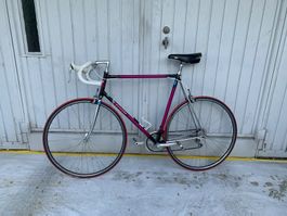 Allegro Vintage Rennvelo RH 61 – Shimano 105 – Swiss Made