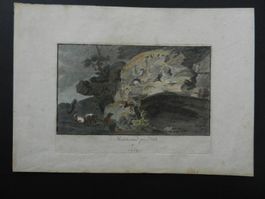 Montcherand près Orbe