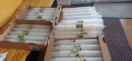 Grosse Menge Plastikbecher Partybecher Hochzeit500 Stück neu