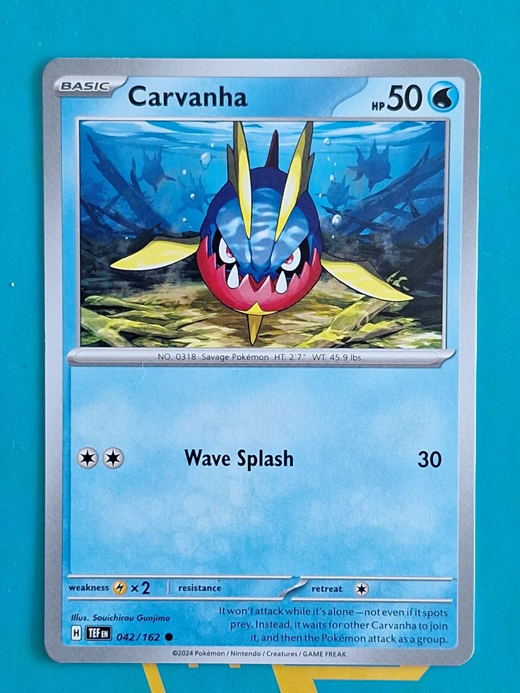 Pokémon Carte collezionabili: Carvanha - Temporal Forces Pokemon - #7.1 – Usato da Altstätten SG venduto da GGsGameshop