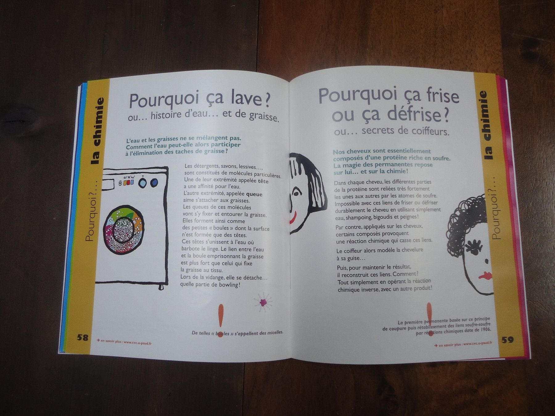 Livres: Pourquoi ? – D'occasion à Vessy par mafabe 2