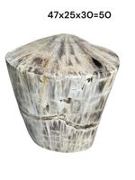 Fossil Tisch Stein Hocker Versteinertes Holz petrified wood