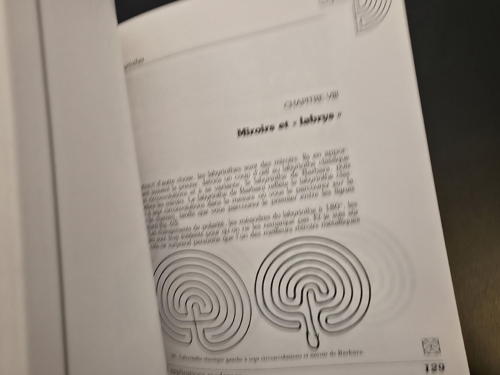 Bücher: Labyrinthes Sig Lonegren Dangles – Neu (gemäss Beschreibung) aus Montreux von Edelweissgirl_64 7