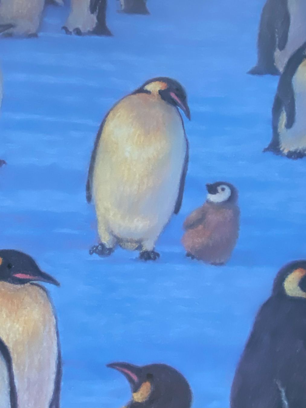 Libri: Otto, der kleine Pinguin – Nuovo (secondo la descrizione) da Sachseln venduto da basti1950 3