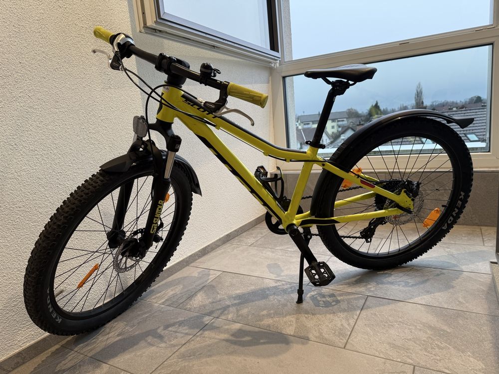 Wunderschne Scott 24 Zoll Ebenbild