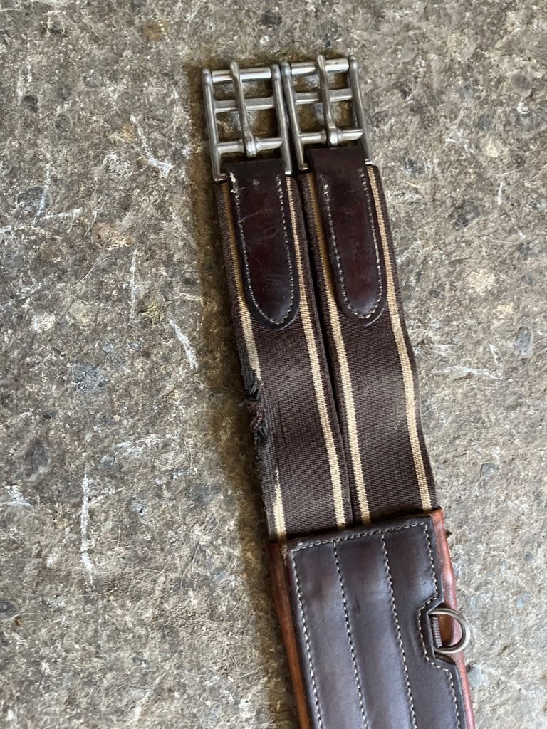 Selle & Accessori: Sattelgurt Schockemöhle 135cm – Usato da Oppligen venduto da chicca25 3