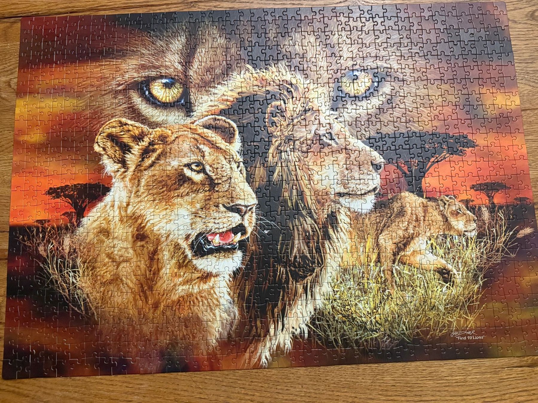 Puzzle: Puzzle mit Rahmen Löwen 1000 Teile -Limit Edition – Usato da Teufenthal AG venduto da MeineSchatztruhe