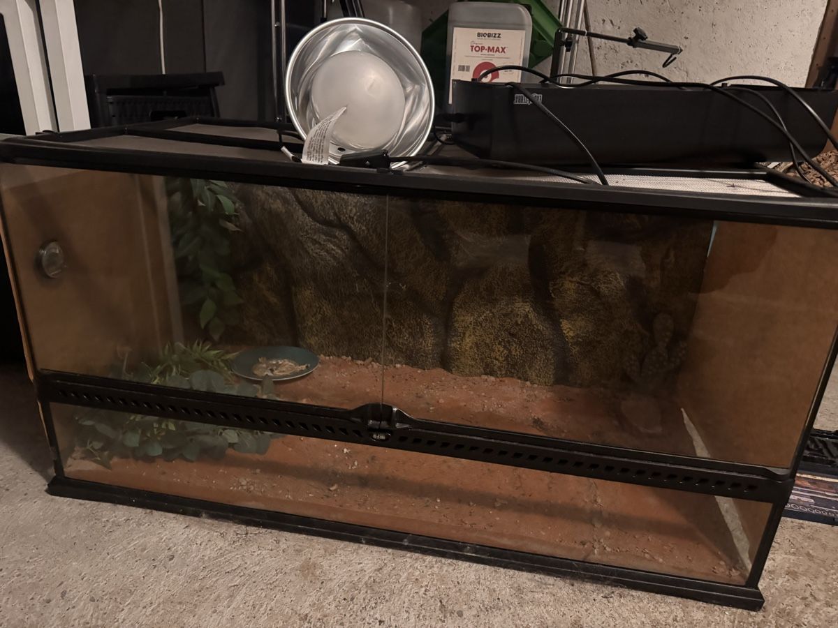 Terrario: Exo Terra Terrarium  – Usato da Thun venduto da rue_5hjl