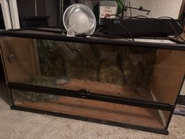 Exo Terra Terrarium 
