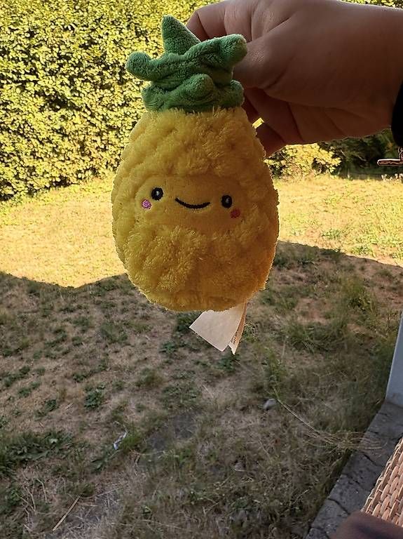 Giocattoli: Anhöngwr Ananas – Usato da Kriens venduto da dajaxoxo 1