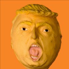 Profile image of Flimmerstube