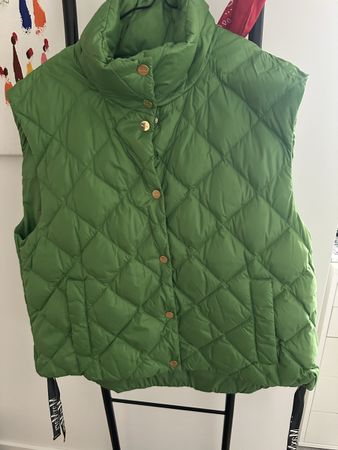 Daunengilet
