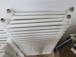 RADIATOR 2-Säuler | 2 Stück, bereits ausgebaut, gebraucht