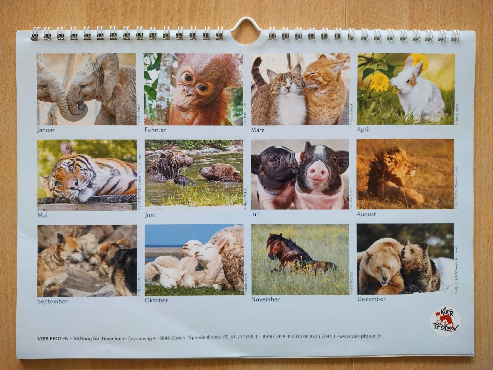 Calendari: Tierkalender 2021 - Wandkalender – Nuovo (secondo la descrizione) da Jona venduto da Argus36 1