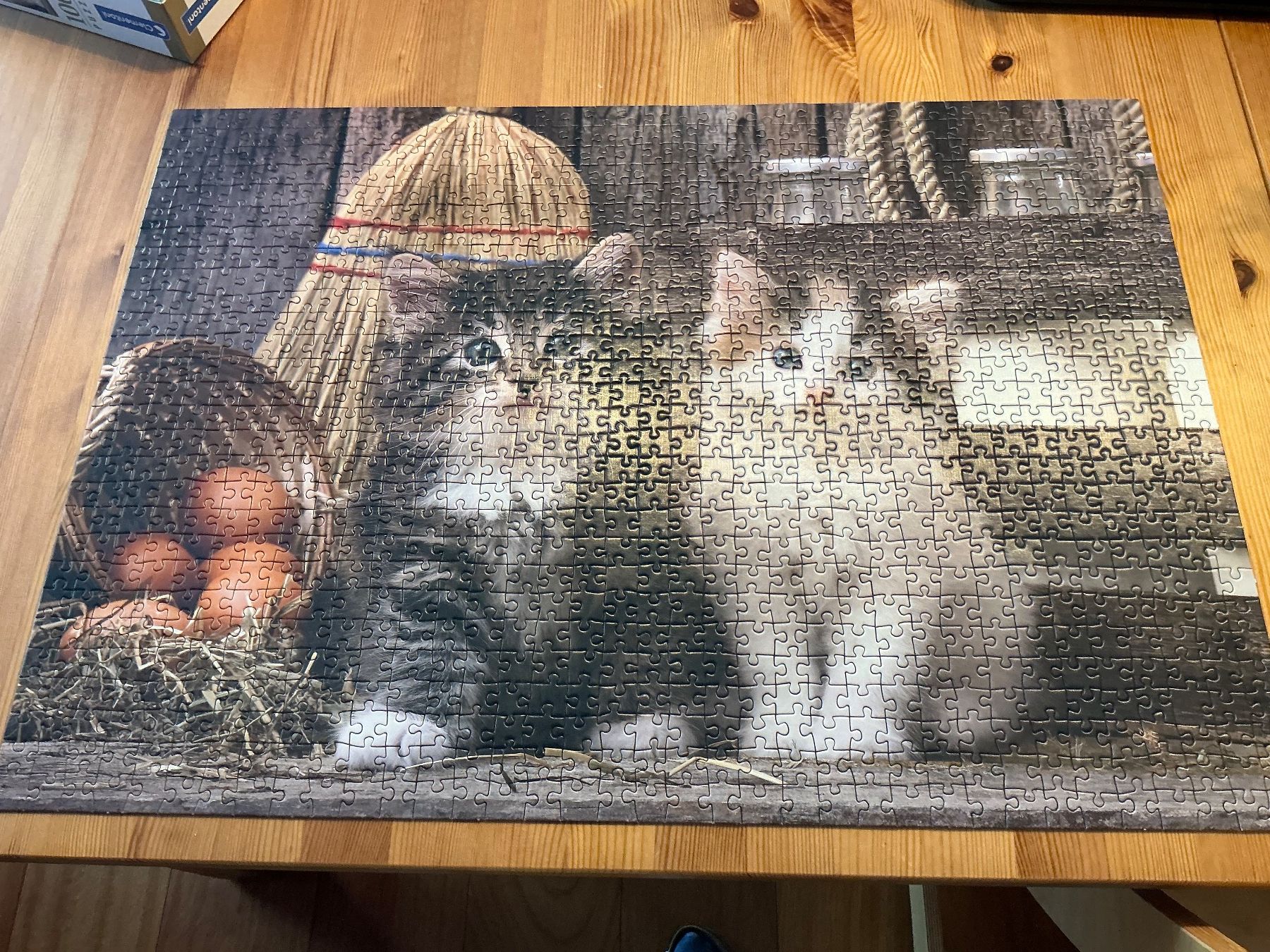 Clementoni Puzzle: Puzzle 1000 Teile Kätzchen Clementoni, vollständig – Usato da Aesch BL venduto da Fortexx 2