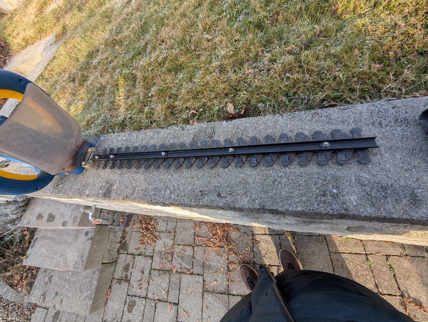 Einhell Tutti gli attrezzi: Royal Einhell elektro Heckenschere – Usato da Sulzbach venduto da MercedesV8 2