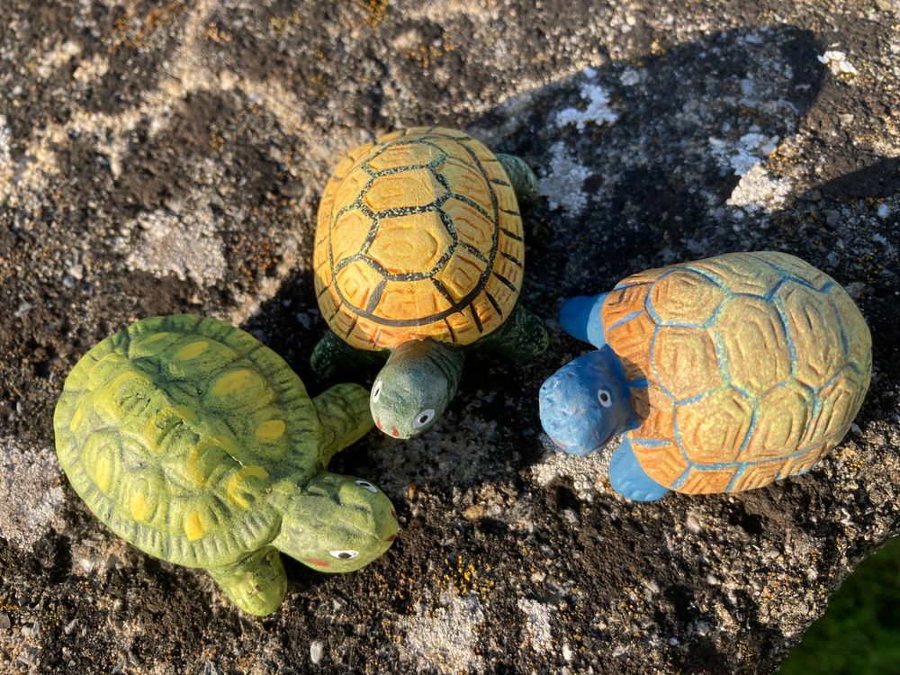 3-kleine-schildkr-ten-keramik-tierfiguren-kaufen-auf-ricardo