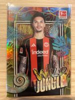Topps Chrome Bundesliga 25/26 Nnamdi Collins WIld Jungle
