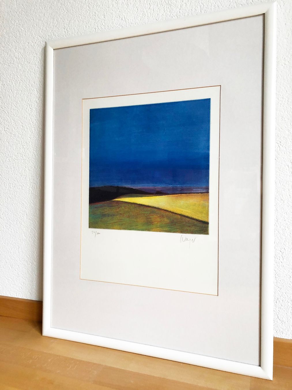 Grafica & Litografie: Georges Wenger Orig. Litho – Usato da Wetzikon ZH venduto da joyeux07