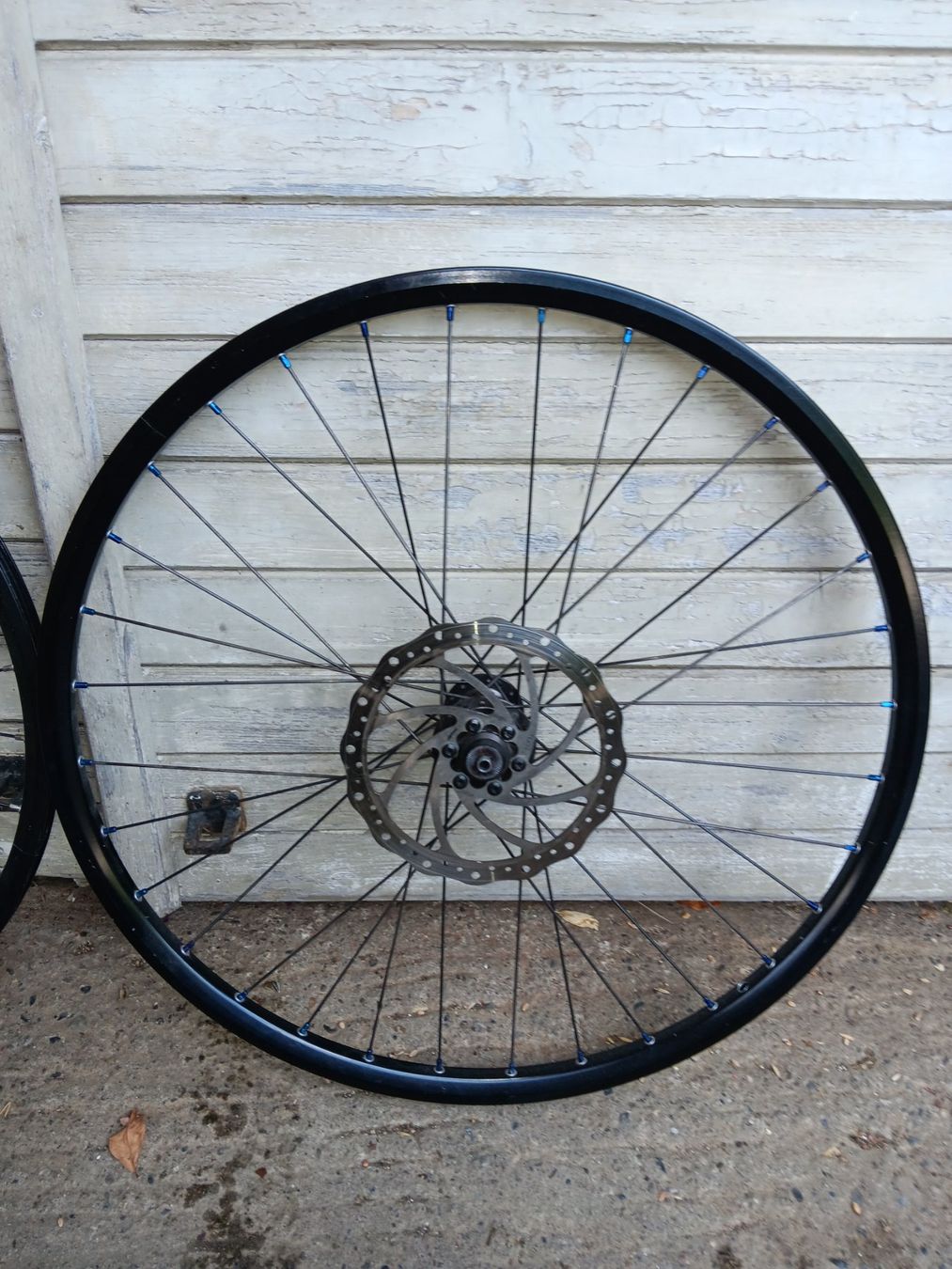 Shimano Cerchioni: 2 Felgen Alu mit Scheibenbremsen – Usato da Dietikon venduto da Sauber64 4