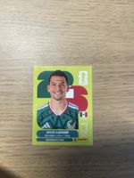 Panini FIFA WC MEX 15