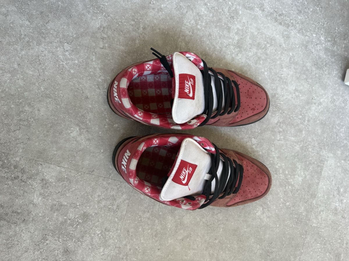 Nike Scarpe da uomo: Nike SB Lobster Red grösse 46 gebraucht – Usato da Wynau venduto da Ziegler_Secondhand 3