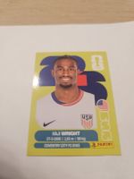 Panini WM 2026 USA 19