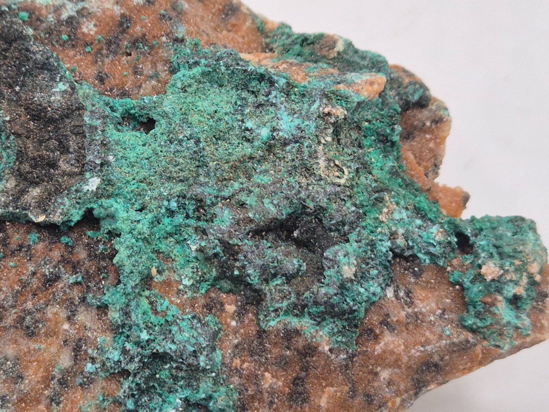 Minerali & Pietre curative: Pseudomalachit; Kitwe, Sambia (126) – Nuovo e nell'imballaggio originale da Winterthur venduto da LukasMineralienOase