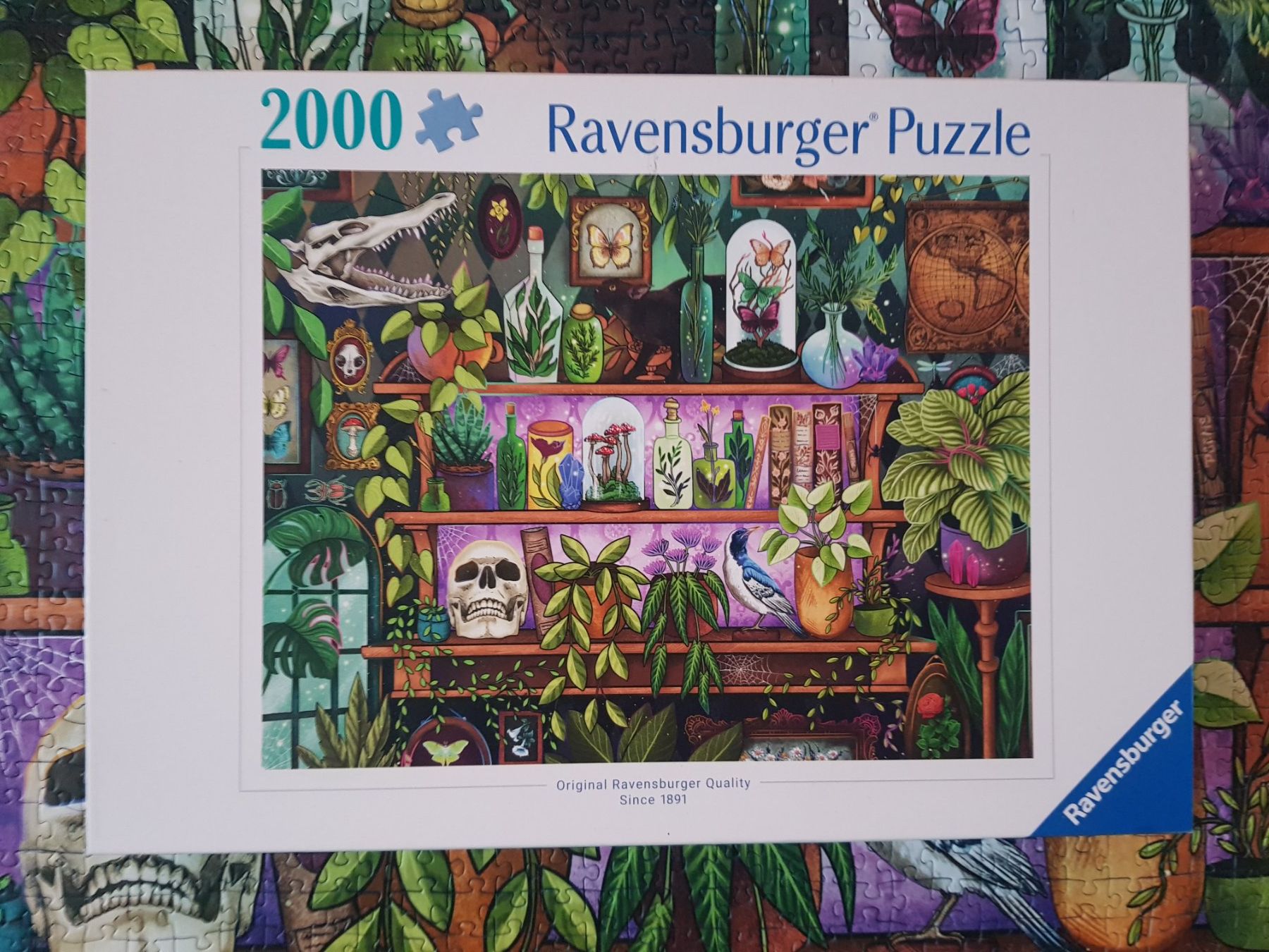 Puzzle: Puzzle von Ravensburger 2000 Teile – Nuovo (secondo la descrizione) da Thalwil venduto da SebastianH01