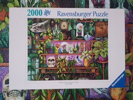 Puzzle von Ravensburger 2000 Teile