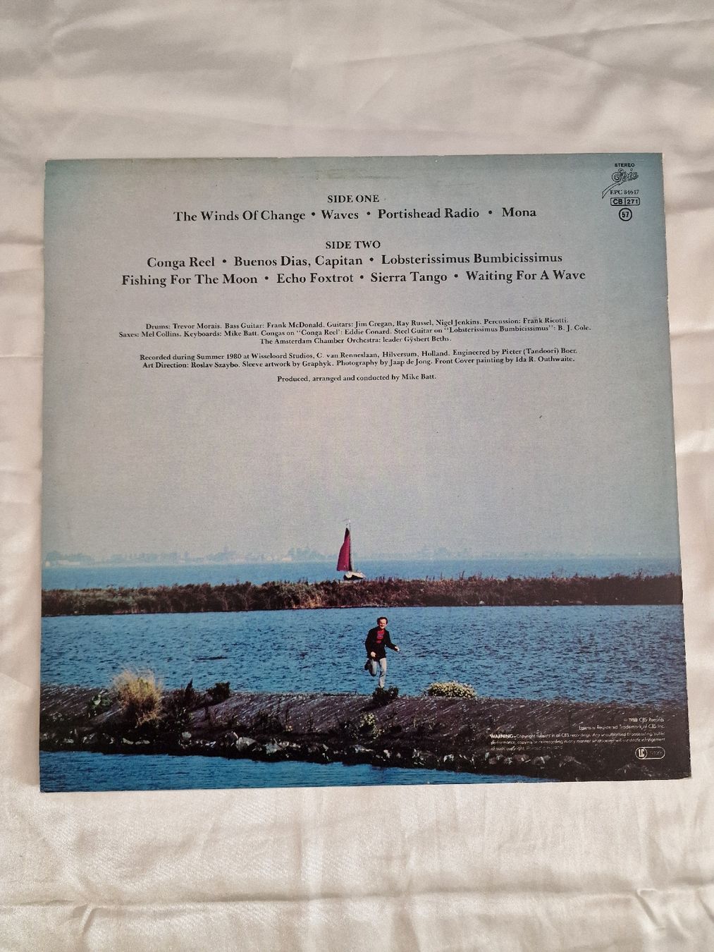 Dischi in vinile: Mike Batt - Waves – Usato da Pfaffnau venduto da gunport 1