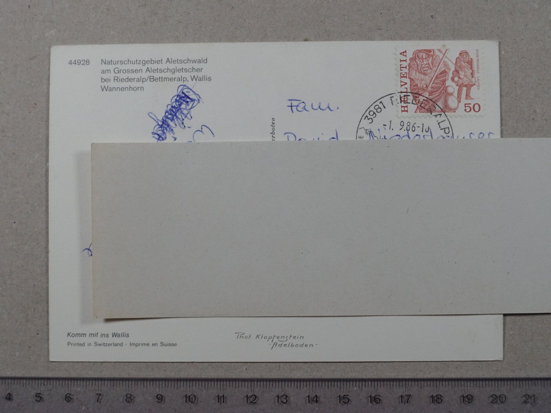 Cartoline postali: Aletschwald, Aletschgletscher, belebt, Wanderer, 1986 – Usato da Lenzburg venduto da fh1 1
