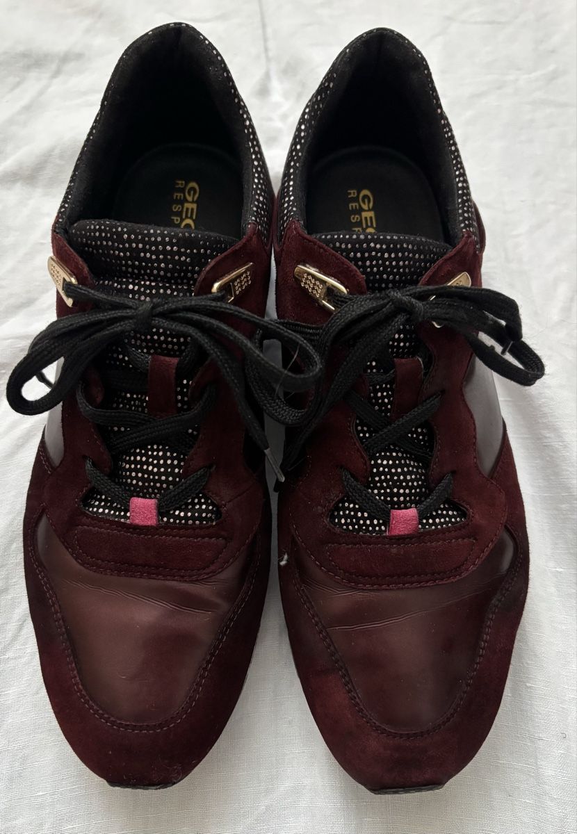 Geox Scarpe da donna: Geox Damen Sneaker, Grösse 39, den Herbst – Usato da Dietlikon venduto da Babies02