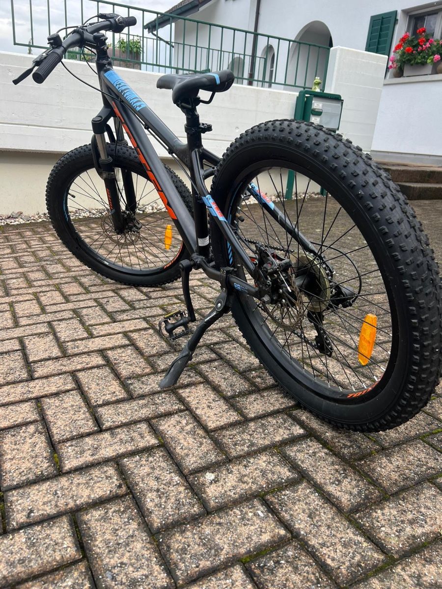 Totem Velos: Kinder Velo Totem – Gebraucht aus Aristau von 020214 2
