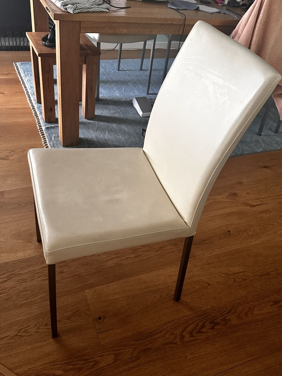 Pfister Chaises: 6 Stühle – D'occasion à Watt par Suszwei 1