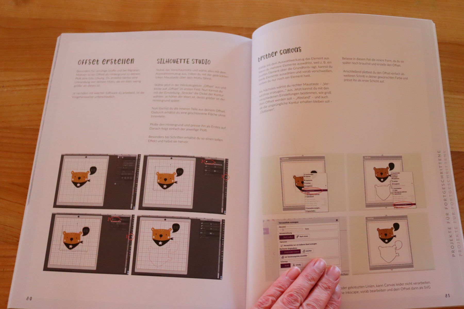 Bücher: Buch: Textiles Gestalten mit dem Hobbyplotter – Neu (gemäss Beschreibung) aus Wenslingen von Strick4Alpaca 6