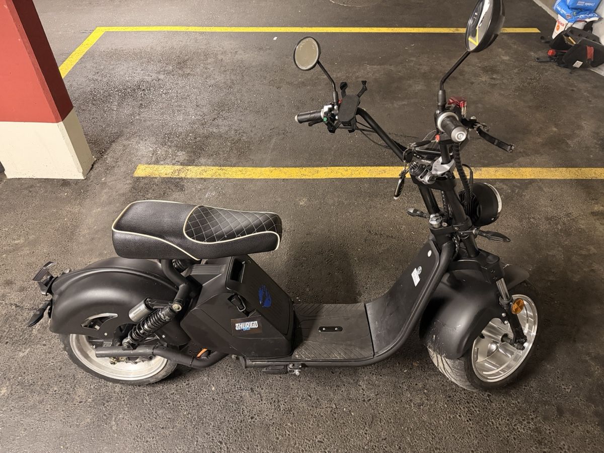 Veicoli elettrici: E-Roller (Citycoco) Fatboy 3.0 – Usato da Winterthur venduto da N-e-A 3