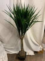 Decoflower Taro Palme 150cm im Topf