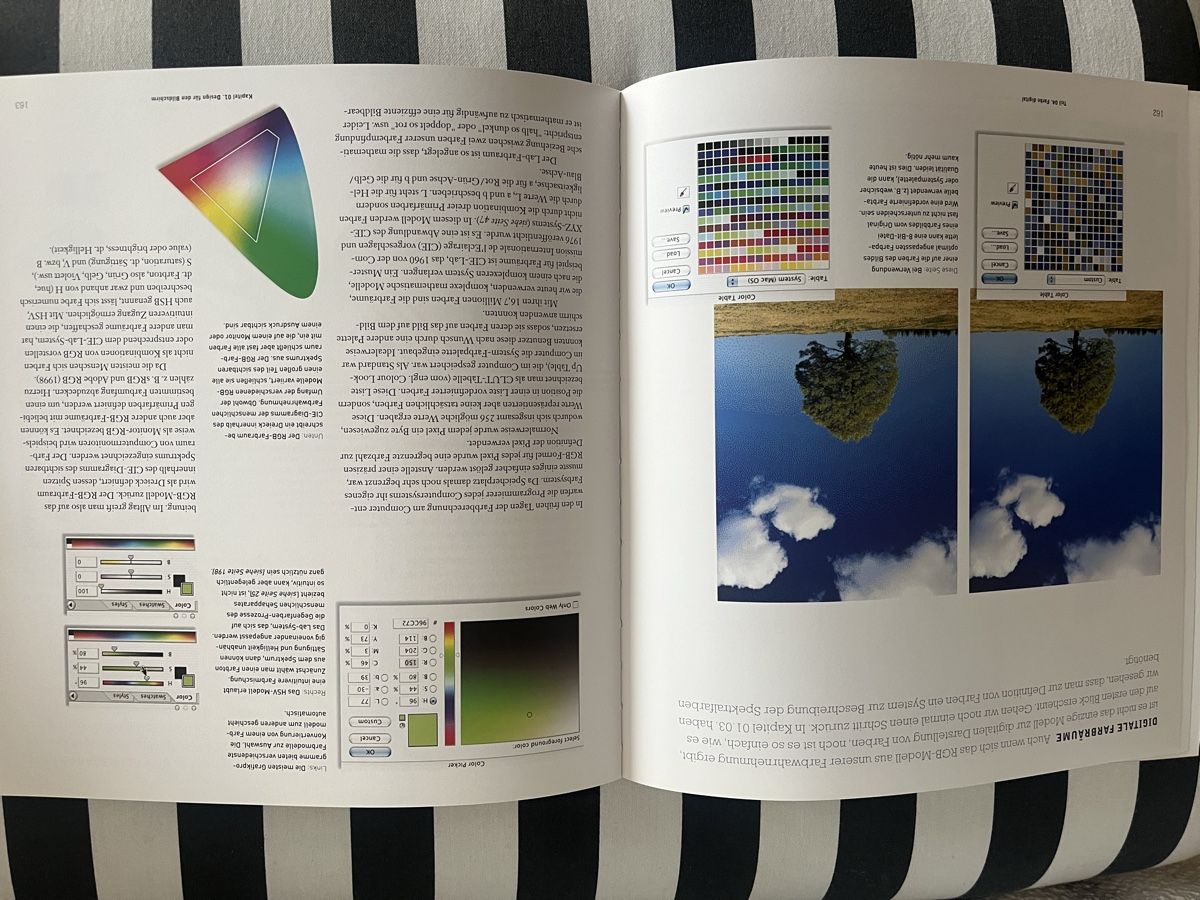 Libri: FARBE IM DESIGN  Tom Faser Adam Blaks – Usato da Rorschacherberg venduto da Artmaru 6