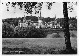 IRRLÄUFER von DOLDER GRAND 1946