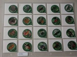 Serie 1175  Papiliorama     Gastro spitz