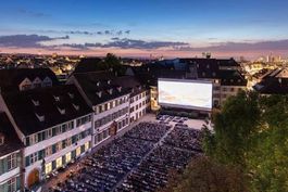 2 Tickets "In the Grey" Allianz Cinema Basel So. 02.08.2026