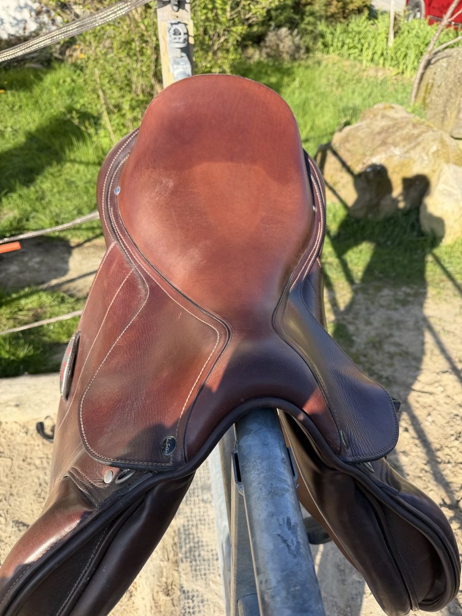 Selle & Accessori: La Sella/La Bell – Usato da Klarsreuti venduto da tbrasch 2