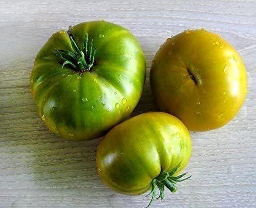 Pflanzen & Samen: 30 Samen AUNT RUBY GERMAN GREEN Tomate – Neu (gemäss Beschreibung) aus Ehrendingen von VerveinaSamen 2